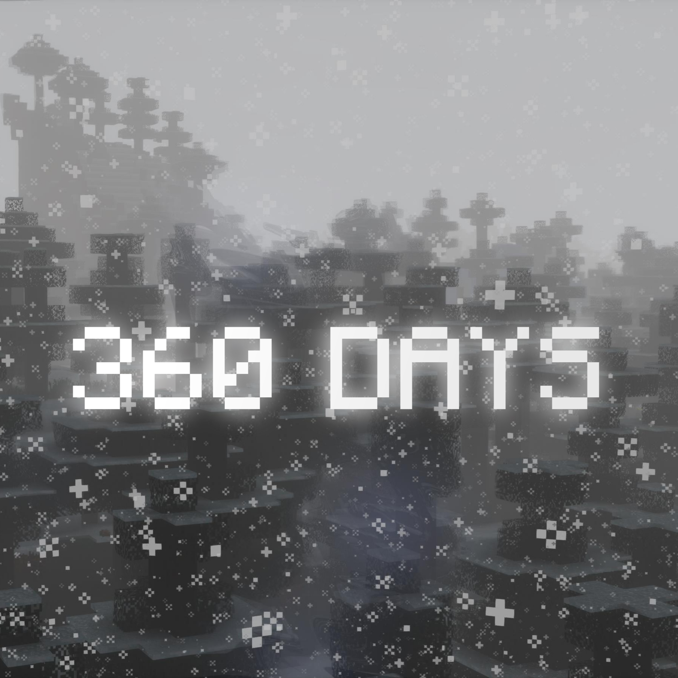 360 days